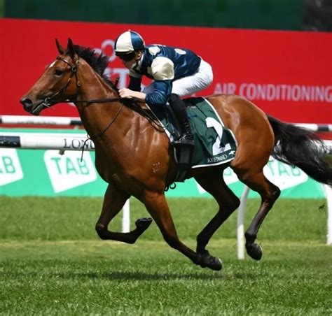 manikato stakes 2023|Manikato Stakes .